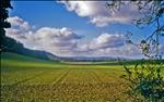 South Downs at Kithurst, West Sussex, England, 2002